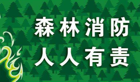 漫畫：關(guān)于森林防火   這些知識你應(yīng)該知道